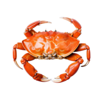 ai généré Crabe isolé sur transparent Contexte. png