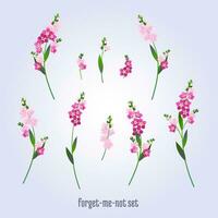 Set of wedding elements, forget-me-nots vector