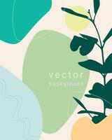 Botany background with abstract shapes and lines, template for flyer poster brochure and empty space for inscription. vector