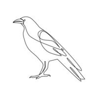 Crow bird continuous single line art outline drawing of minimalism Vector illustration design on white background