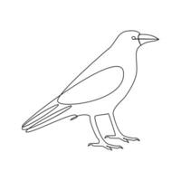 Crow bird continuous single line art outline drawing of minimalism Vector illustration design on white background
