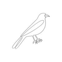 Crow bird continuous single line art outline drawing of minimalism Vector illustration design on white background