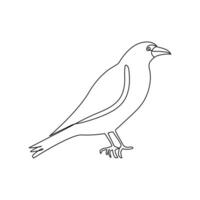 Crow bird continuous single line art outline drawing of minimalism Vector illustration design on white background