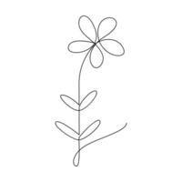 Vector flower in one line art drawing isolated on white background minimalist