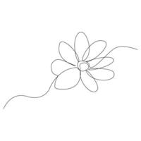 Vector flower in one line art drawing isolated on white background minimalist