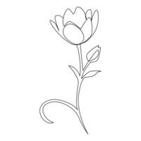 Vector flower in one line art drawing isolated on white background minimalist