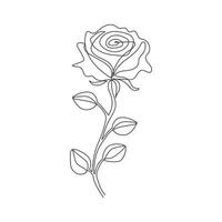 Rose flower in one line art outline simple drawing vector illustration on white background