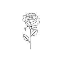 Rose flower in one line art outline simple drawing vector illustration on white background