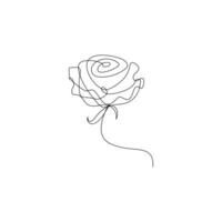 Rose flower in one line art outline simple drawing vector illustration on white background