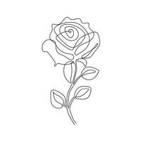 Rose flower in one line art outline simple drawing vector illustration on white background