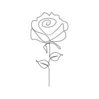 Rose flower in one line art outline simple drawing vector illustration on white background