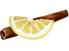 kanel och citron- vattenfärg illustration uppsättning. friska organisk örter för matlagning. isolerat vinter- nöjen. isolerat kanel pinnar. png