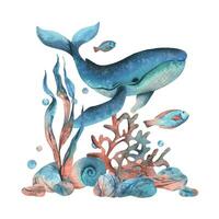 Underwater world clipart with sea animals whale, fishes, shells, coral and algae. Hand drawn watercolor illustration. Pre-made composition isolated from the background Vector EPS