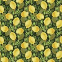 Lemons are yellow, juicy, ripe with green leaves, flower buds on the branches, whole and slices. Watercolor, hand drawn botanical illustration. Seamless pattern on a green background. vector