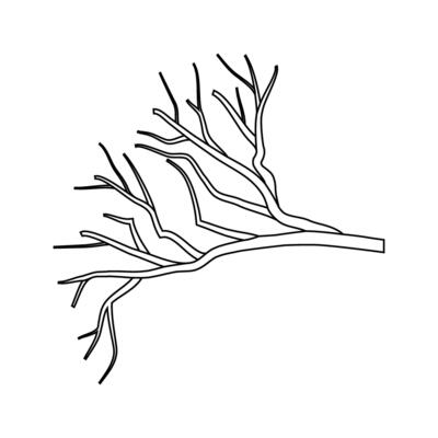 Branch icon vector. Tree illustration sign. Firewood symbol or logo.