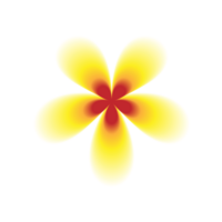 gul och vit blomma på transparent bakgrund png