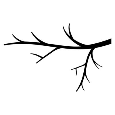 Branch icon vector. Tree illustration sign. Firewood symbol or logo.