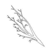 Branch icon vector. Tree illustration sign. Firewood symbol or logo. vector