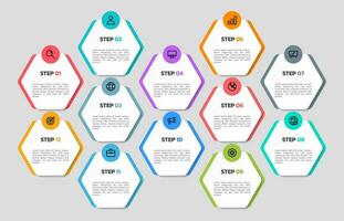 moderno negocio infografía plantilla, hexágono forma con 12 opciones o pasos iconos vector