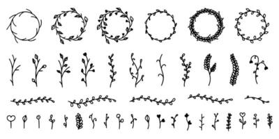Set of floral elements twigs, leaves, stems, buds, berries. Decorative floral elements round frames and dividing decorative lines. Floral spring and summer elements in the doodle style vector