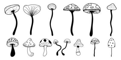 Large set of poisonous doodle-style mushrooms isolated on white background. Decorative element for printing on clothes, stickers, postcards, for web resources vector