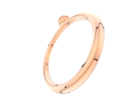 Jewelry isolated on background. 3d rendering - illustration png