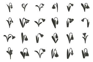 Snowdrop icons set simple vector. Flower spring nature vector