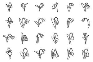 Snowdrop icons set outline vector. Flower spring nature vector