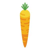 Carrot vegetable icon isometric vector. Borsch cook food vector