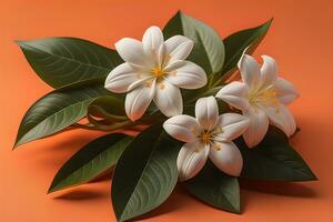AI generated White flower on a solid color background. ai generative photo