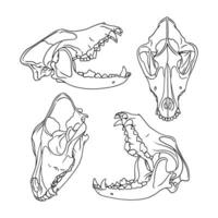 Vector dog skull. dog silhouette vector illustration art