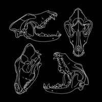 Vector dog skull. dog silhouette vector illustration art