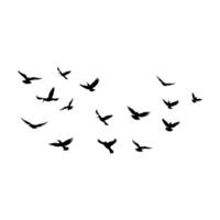 Vector a flock of flying silhouette birds vector illustration