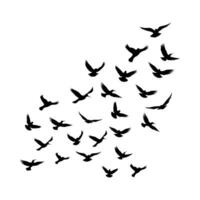 Vector a flock of flying silhouette birds vector illustration