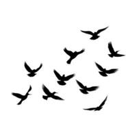 Vector a flock of flying silhouette birds vector illustration