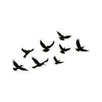 Vector a flock of flying silhouette birds vector illustration