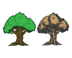 Tree vector illustration line art