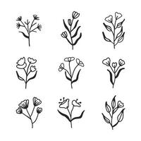 A collection of flowers hand drawn on a white background vector