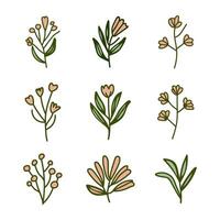 A collection of flowers hand drawn on a white background vector