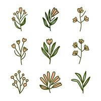 A collection of flowers hand drawn on a white background vector