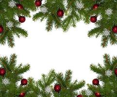Navidad rama de un natural árbol con rojo pelotas en un blanco antecedentes de cerca. aislar foto