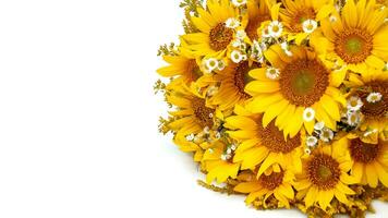 Bouquet of sunflowers isolated on a white background. photo