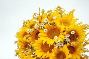 Bouquet of sunflowers isolated on a white background. photo