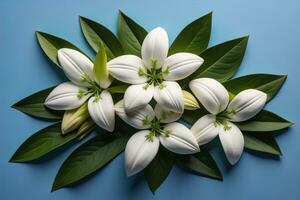 AI generated Beautiful white lilies on solid color background, closeup. Floral decor. ai generative photo