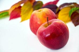 Autumn composition. Frame of orange, red, green leaves and red apples. Isolated on a white background and space for your text photo