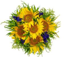 Bouquet of sunflowers and lavender isolated on white background photo