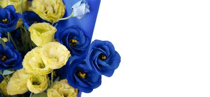 Bouquet of blue and yellow anemone flowers on a white background. Banner with flowers with a place for an inscription photo