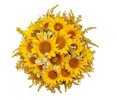 Bouquet of sunflowers isolated on a white background. photo