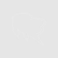 Abstract bubble chat vector element