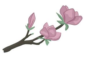 Magnolia blooming twig doodle. Spring time tree branch clipart. Cartoon vector illustration isolated on white background.